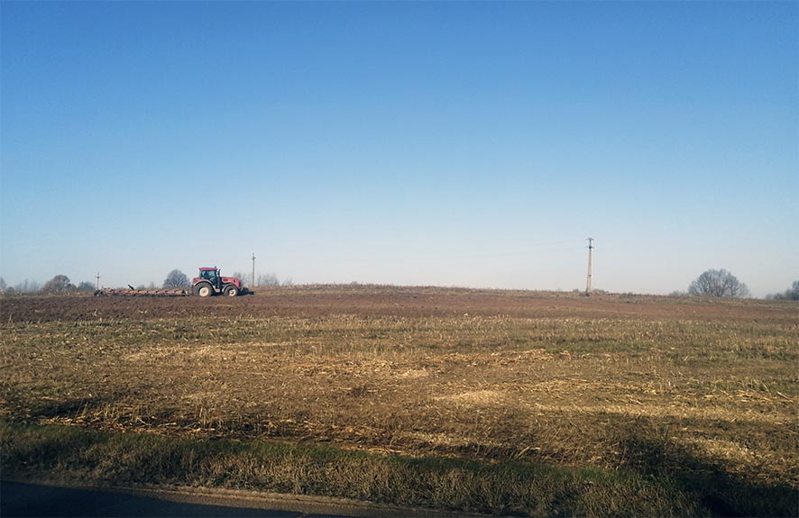 Уборка кукурузы 1.jpg Уборка кукурузы 1.jpg