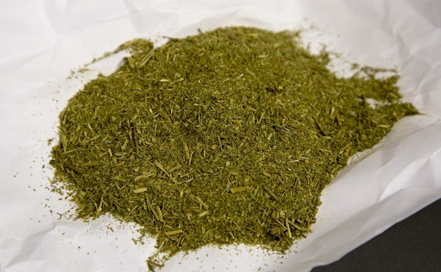mir24.tv_marijuana.jpg mir24.tv_marijuana.jpg